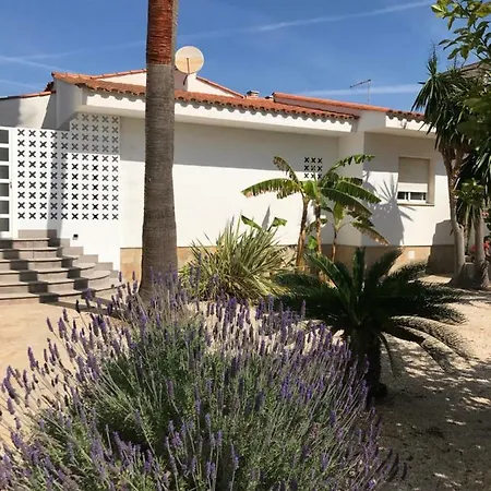 San Francisco Ferienhaus L'Eucaliptus